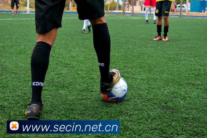 问鼎pg官网注册入口APP 体育赛事宣传图